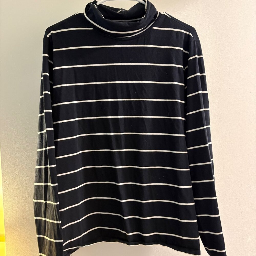 Talbots Supersoft Turtleneck Tee (Plus Size 2X)